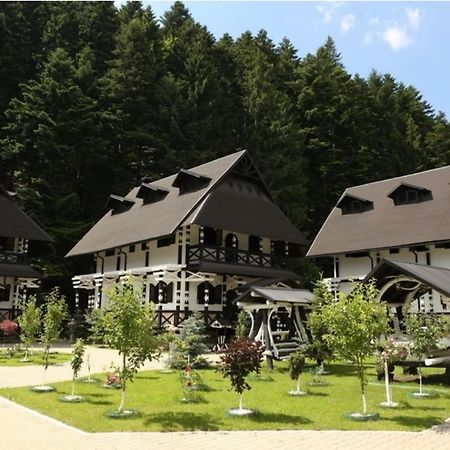 Complex Lions Bucovina Hotel Voronet Buitenkant foto