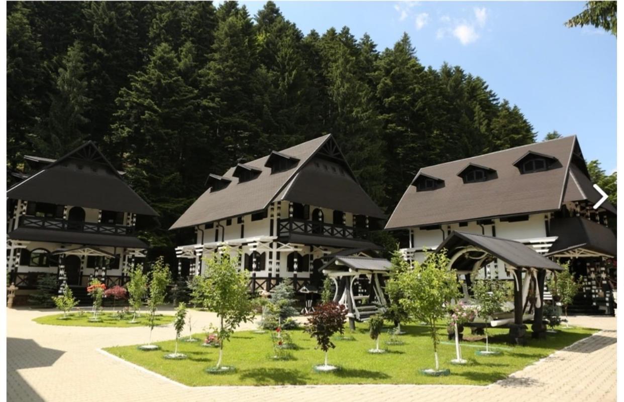 Complex Lions Bucovina Hotel Voronet Buitenkant foto