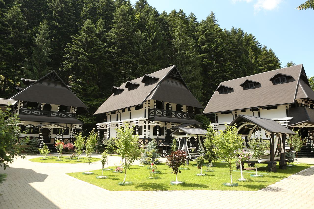 Complex Lions Bucovina Hotel Voronet Buitenkant foto