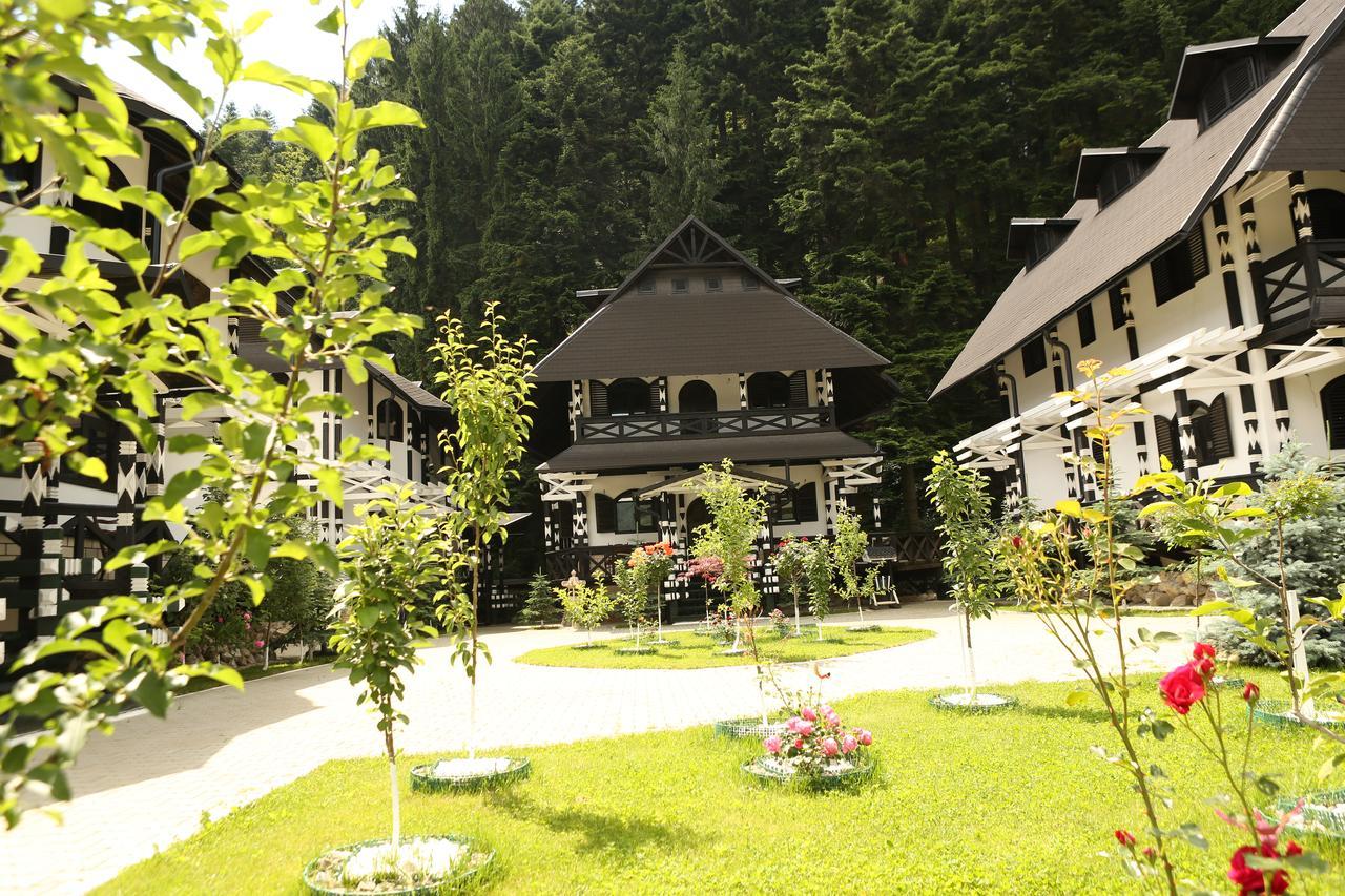 Complex Lions Bucovina Hotel Voronet Buitenkant foto