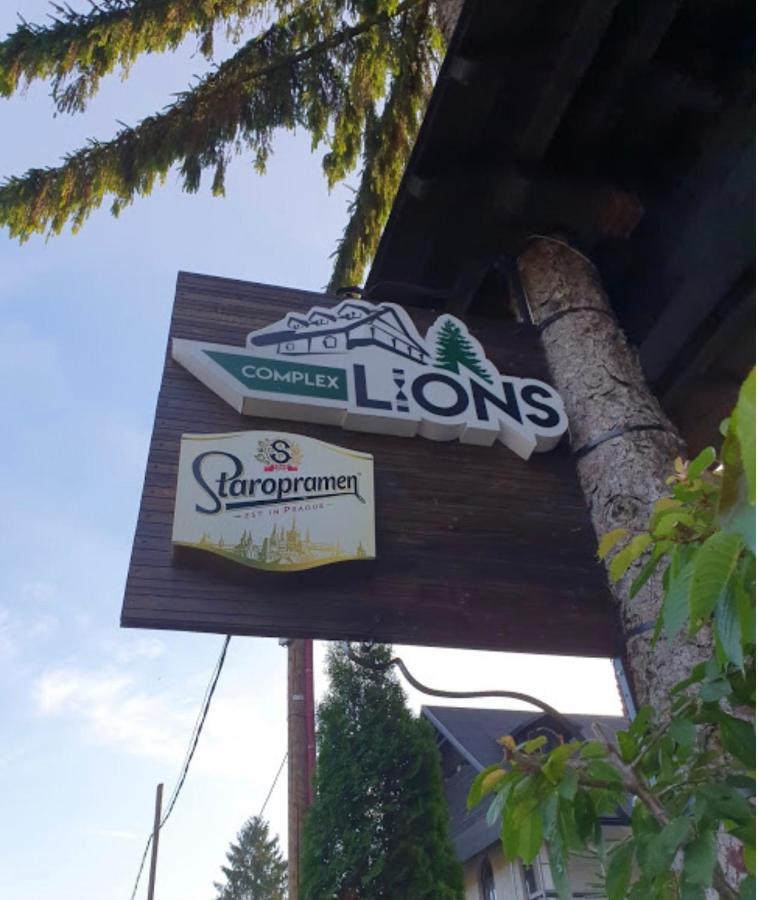 Complex Lions Bucovina Hotel Voronet Buitenkant foto