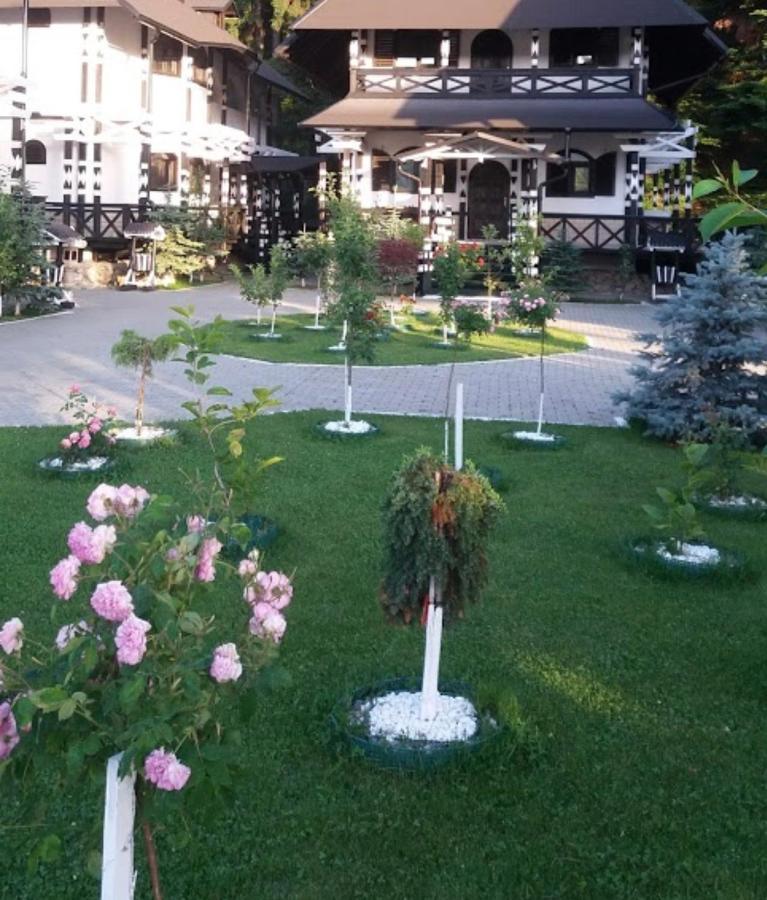 Complex Lions Bucovina Hotel Voronet Buitenkant foto